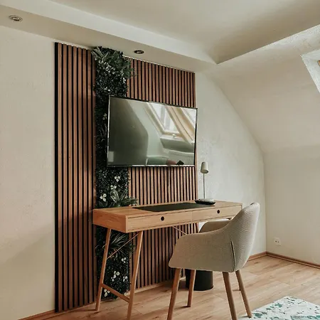 Appartement Wohnen In Der Altstadt - Und Gundelsheim (Baden-Wurttemberg)