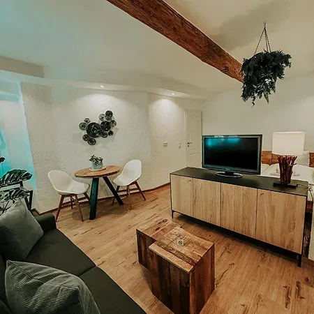 Appartement Wohnen In Der Altstadt - Und Gundelsheim (Baden-Wurttemberg)